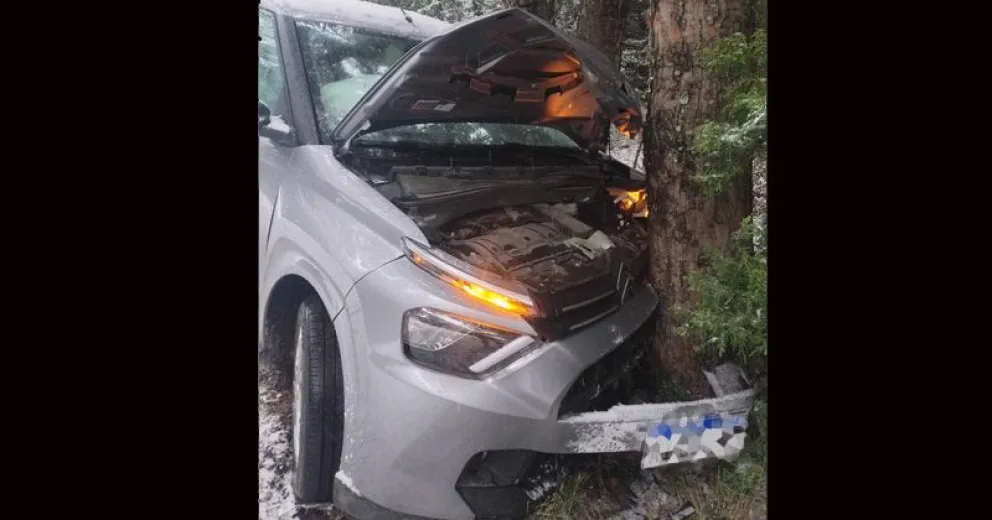 El automóvil frenó contra un árbol. 