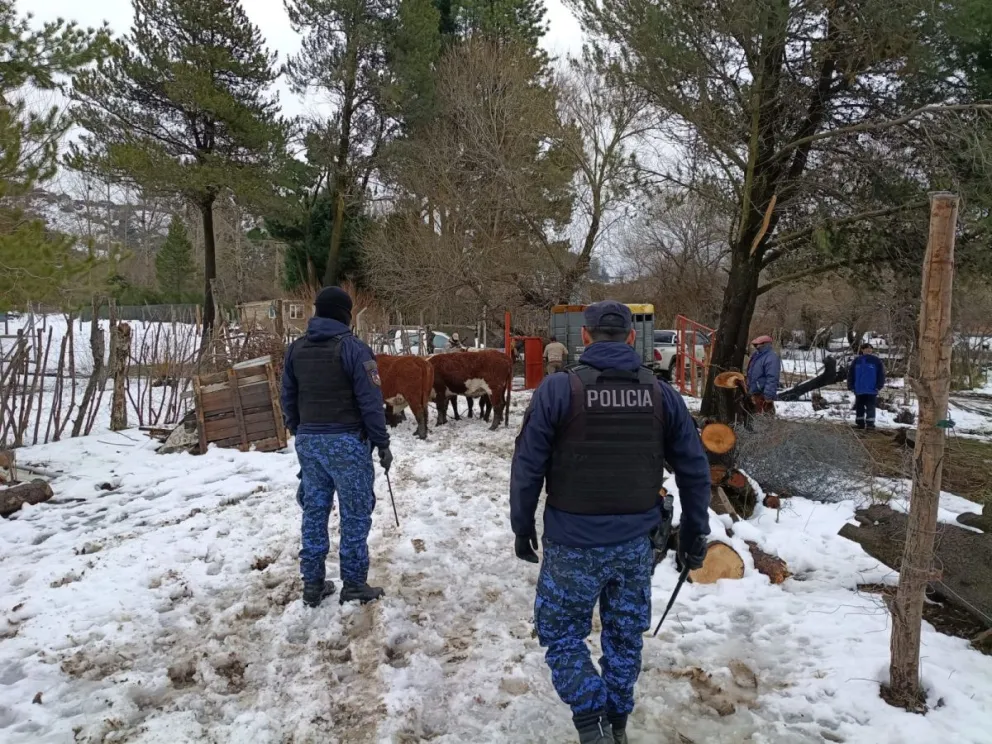 Personal de la Brigada Rural realizó una inspección ocular en el lugar y efectuó un seguimiento de rastros. Foto Policía de Río Negro