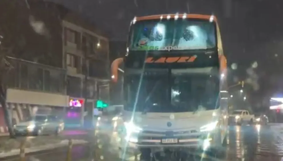 Casi choca un camión en pleno Ñireco. 