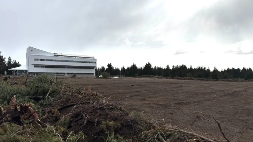 Se trabajó sobre una superficie de dos hectáreas. Fotos Municipalidad de Bariloche.