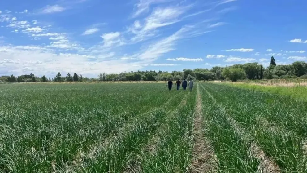 La iniciativa beneficiará directamente a casi 7.000 productores agropecuarios.
