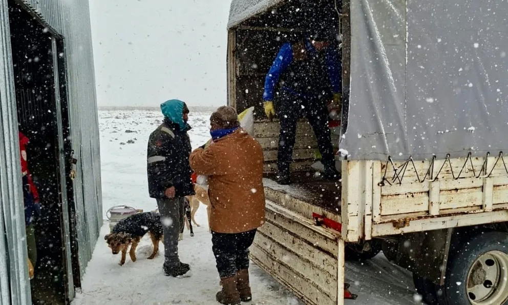 Durante gran parte del recorrido se registraron nevadas de variada intensidad.