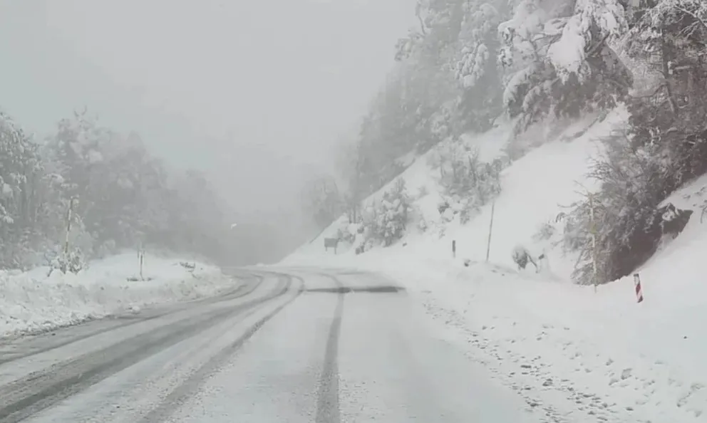 Se reporta presencia de nieve y viento blanco en la ruta internacional. Crédito: CFSamore.