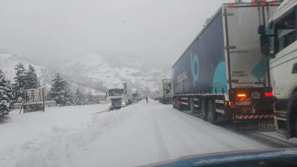 Camiones varados en la zona de Confluencia por el temporal de nieve en la región andina. 