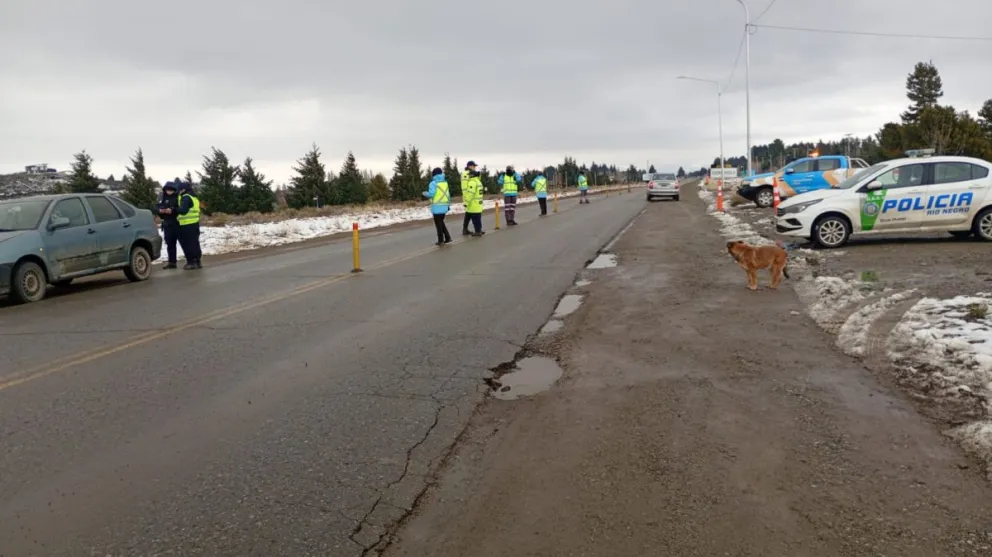 El vehículo transportaba truchas con destino a la ciudad de San Carlos de Bariloche