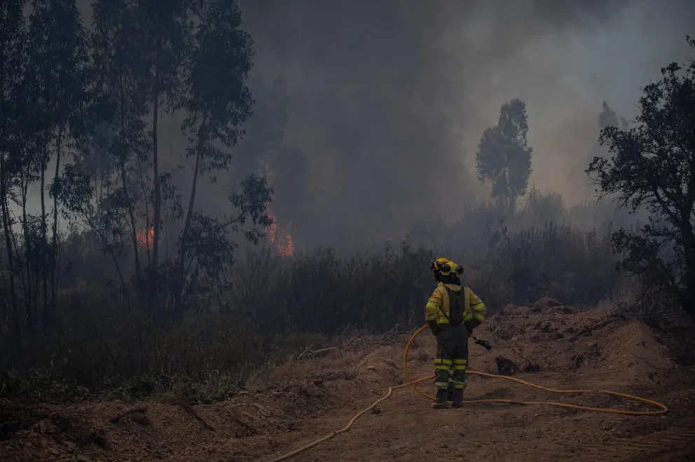 El incendio en Huelva es el más importante del verano en España. Foto: Rafa del Barrio para El Salto.