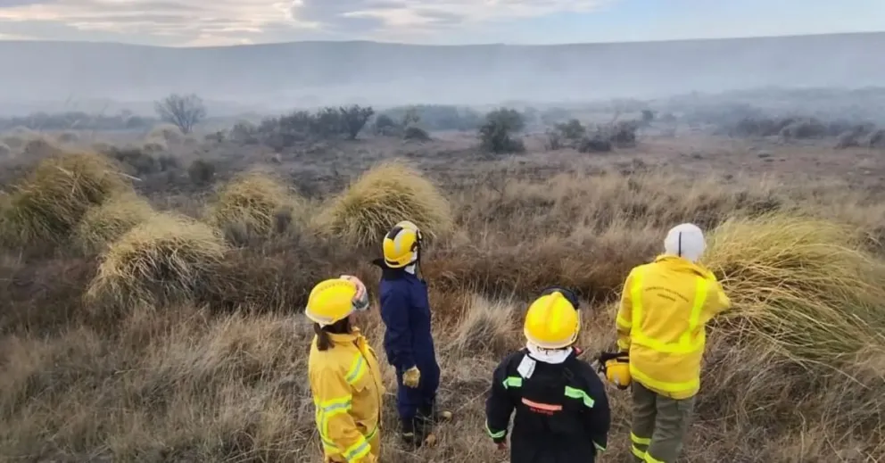 Sofocaron incendio forestal en la zona de Piedra del Águila.