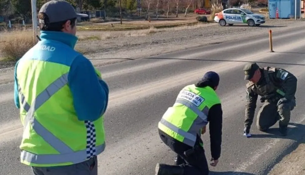 El momento del control vehicular. 