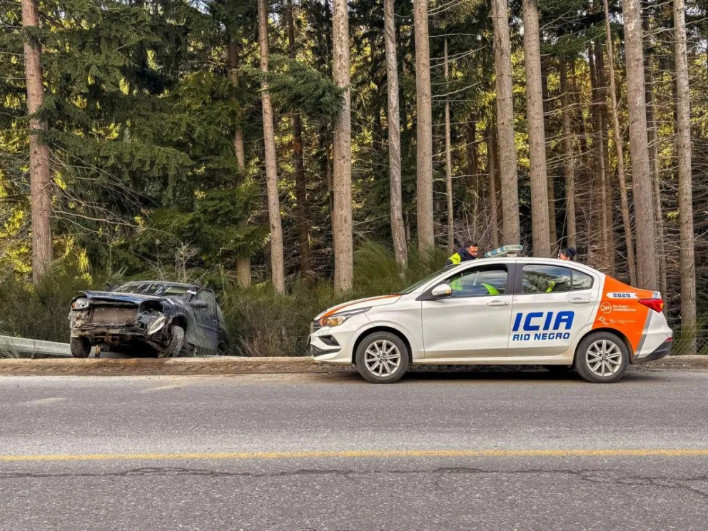 El vehículo quedó al costado de la ruta. Fotos Euge Neme 