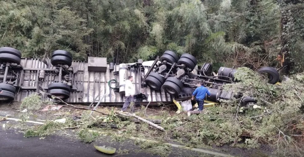 El conductor quedó atrapado en el camión. Foto: Radio Sago. 