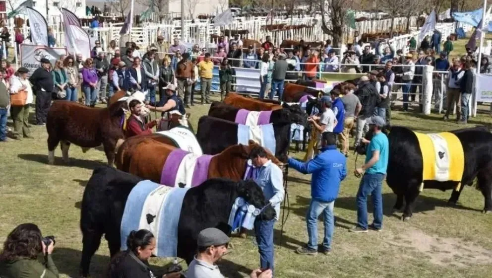 Habrá juras de razas, ventas, actividades culturales, maquinaria y el regreso de la exposición avícola. Foto: Archivo de NoticiasNet.