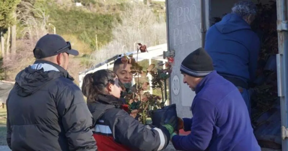 Este lunes se inicia la plantación en Costanera y Esandi. Fotos de Prensa del Municipio.