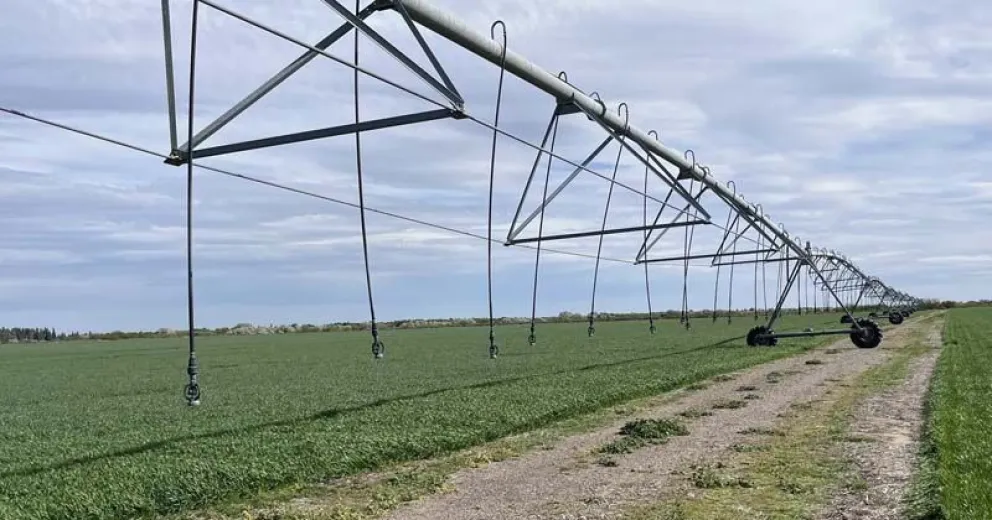En Negro Muerto se consolida uno de los proyectos más estratégicos para el crecimiento agrícola y ganadero de Río Negro.
