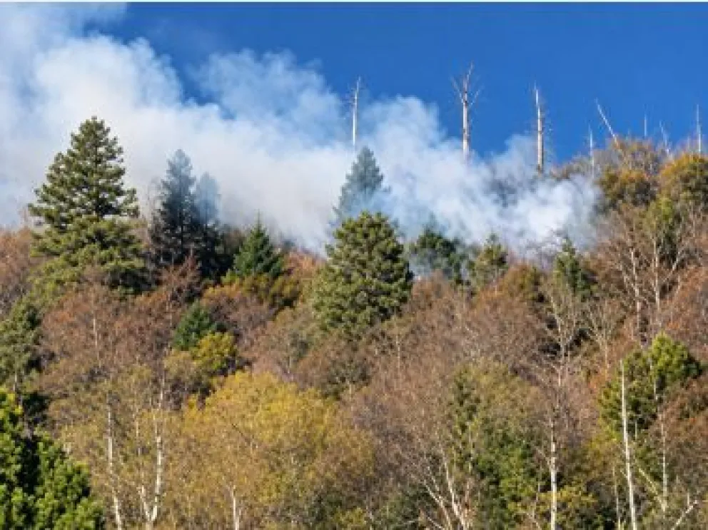 Brigadistas combaten el fuego en una zona boscosa camino a El Bolsón. 