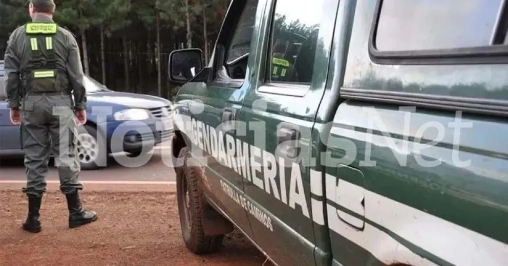 Un can antinarcóticos y un escaner fueron fundamentales para que Gendarmería actué con el aval judicial. Foto NoticiasNet (archivo).