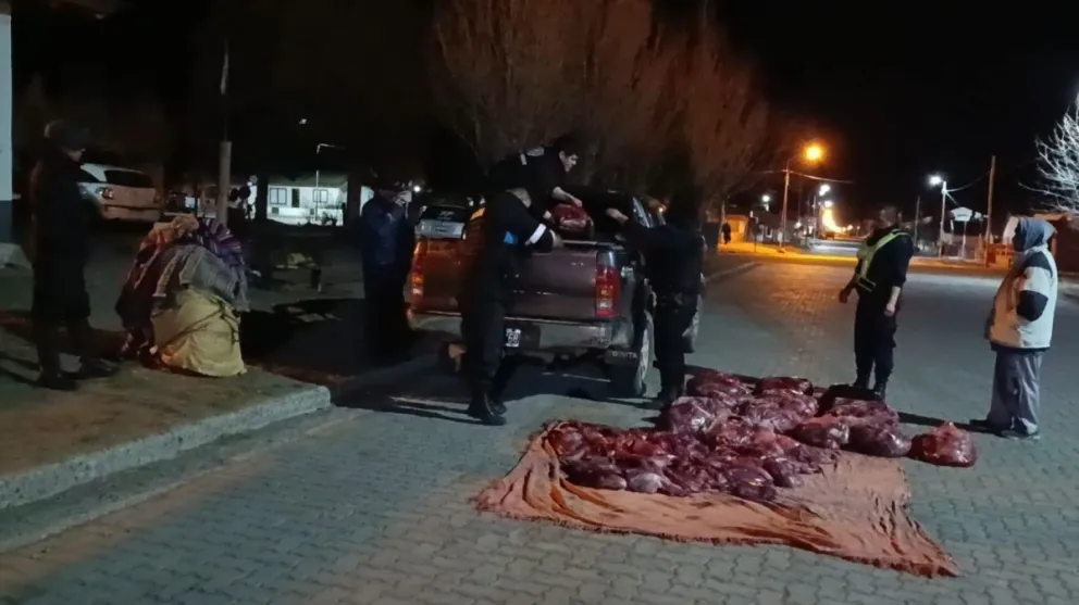Secuestraron 700 kilos de carne transportada de forma clandestina. 