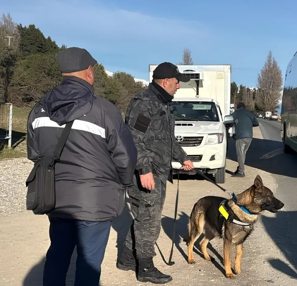 Los procedimientos formaron parte de una serie de operativos desarrollados durante la jornada por las distintas delegaciones.