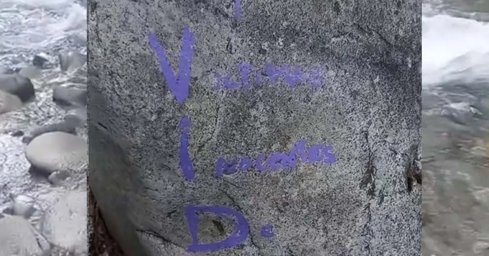 Piden a la persona que realizó las pintadas, que vaya a limpiarlas. 