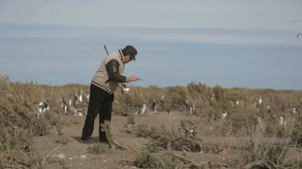 "El exilio de Malvinas", serie del vecino de Bariloche Federico Palma.