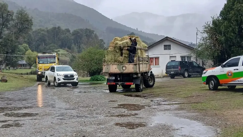 Los equipos de provincia entregaron módulos alimentarios a las familias afectadas. 