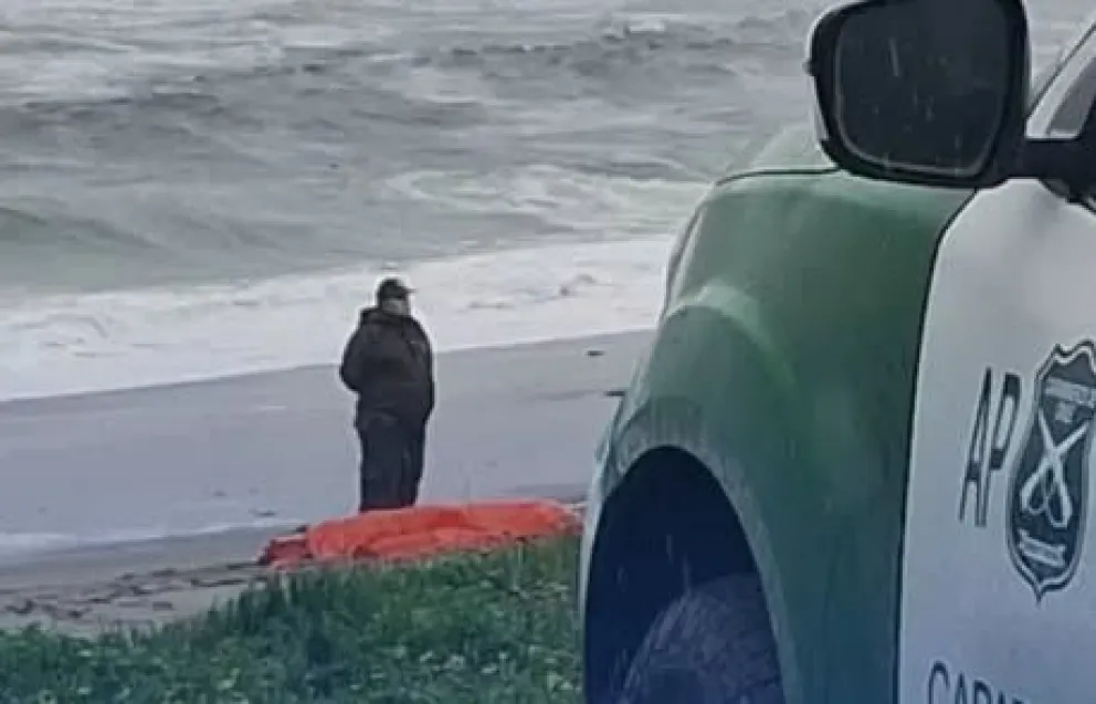 Fue hallada en una playa a 68 kilómetros de Osorno. Foto Noticias Puyehue.