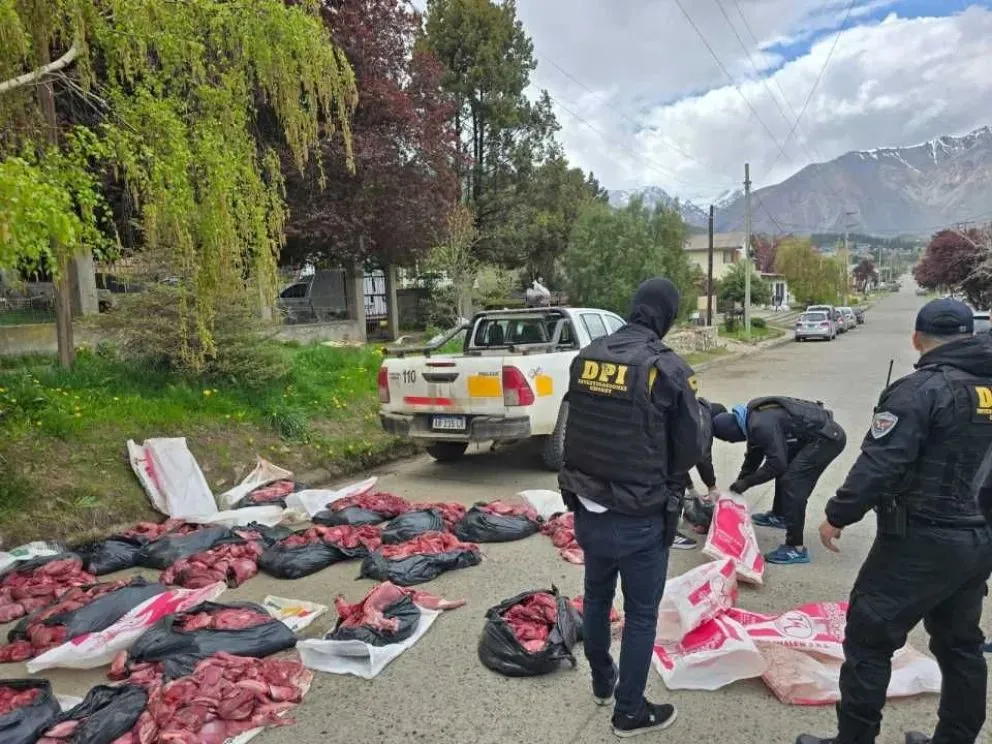 En un amplio despliegue, secuestraron carne de puma y guanaco en Esquel. 