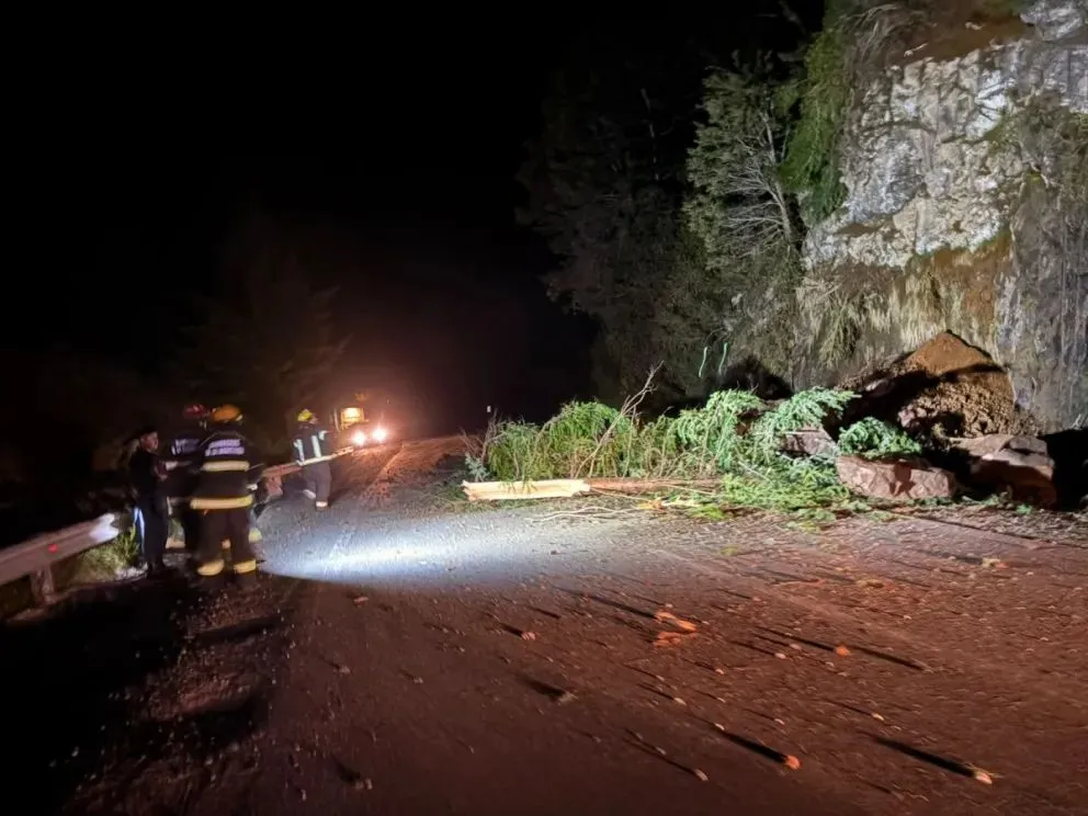Se restableció la circulación en Ruta 40 en la zona de La Angostura.