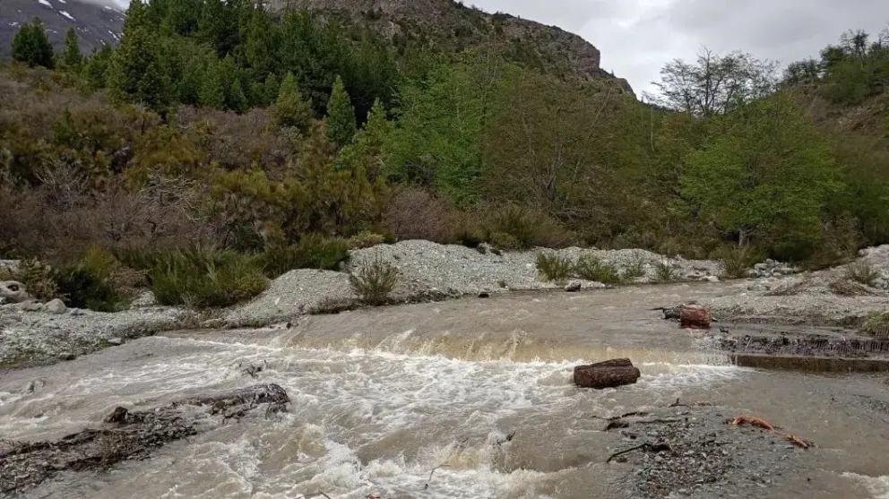 Continúa la turbiedad del río Ñireco.