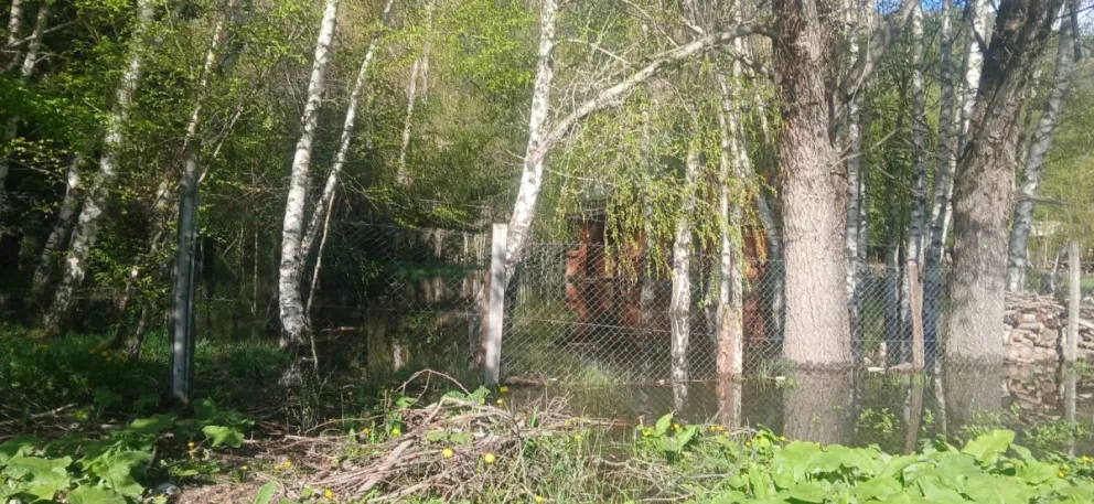 Las precipitaciones recientes hicieron crecer rápidamente el nivel del lago Gutiérrez. Foto gentileza.