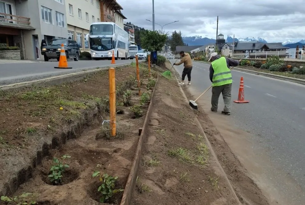 La transformación del arbolado público en Bariloche. 