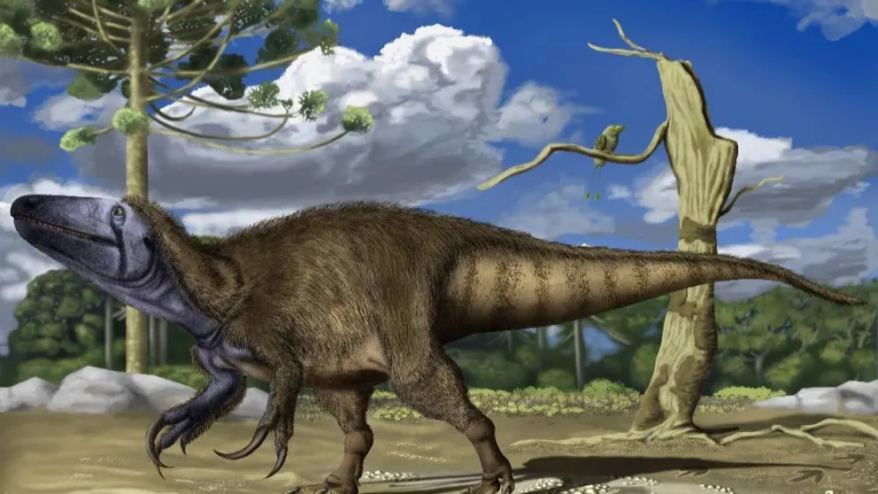 Así era el nuevo gigante descubierto. 